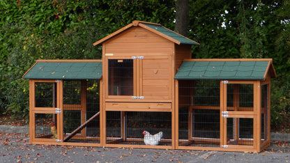 Royal Duo Chicken Coop
