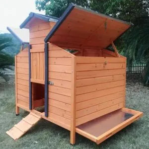 Pollaio medio per 4-6 galline, in legno FSC, tetto apribile