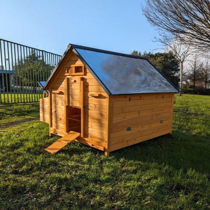 Pollaio XL con tetto in lamiera