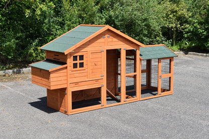 Pollaio di campagna medio