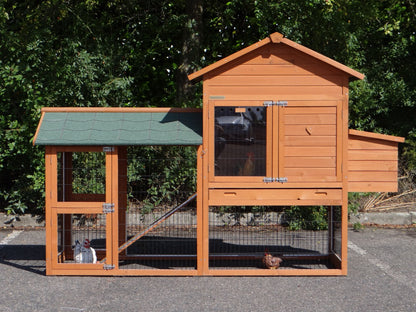 Il pollaio della Maestà