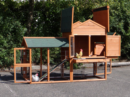 Il pollaio della Maestà